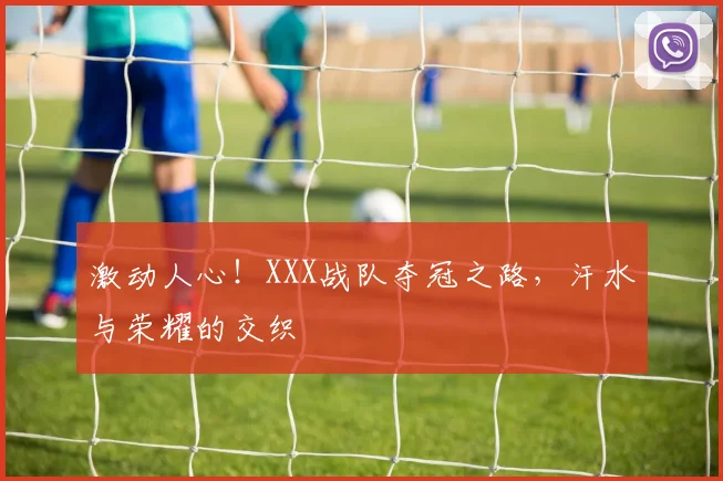 激动人心!XXX战队夺冠之路,汗水与荣耀的交织