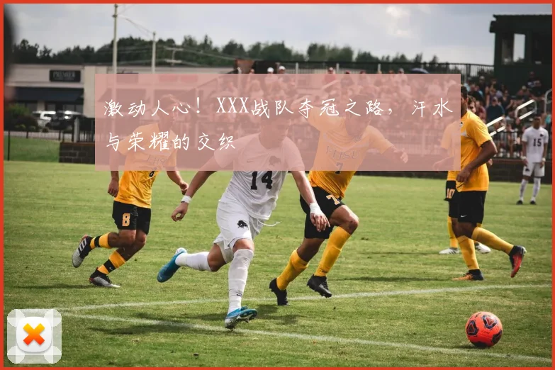 激动人心!XXX战队夺冠之路,汗水与荣耀的交织