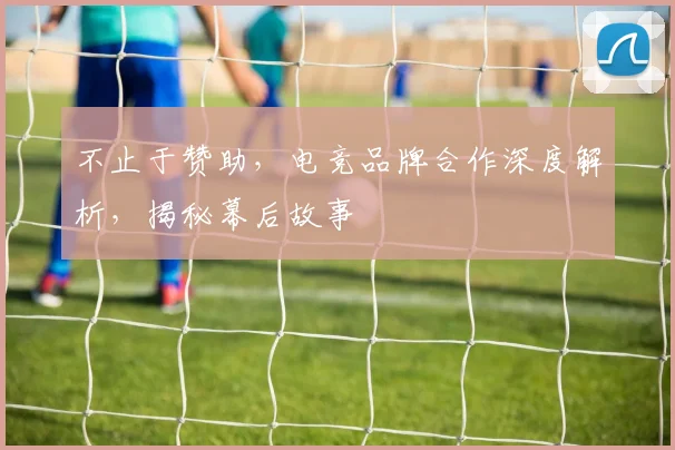 不止于赞助,电竞品牌合作深度解析,揭秘幕后故事